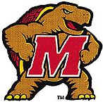 bigterp_logo.jpg